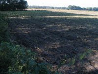 171-456, W, 2011-10-22, NL-Theo Boessenkool, 52.09609 NB- 05.62830 OL, Ede