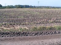 171-456, W, 2011-10-22, NL-Theo Boessenkool, 52.09626 NB- 05.62711 OL, Ede