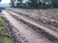 171-456, Z, 2011-10-22, NL-Theo Boessenkool, 52.09626 NB- 05.62711 OL, Ede