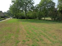 177-424, W, 2018-8-21, NL-Peter Vlamings, 177490-424515, Wijchen