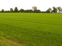 177-459, O, 2012-09-17, NL-Wim Huisman, 177550-45944, Ede