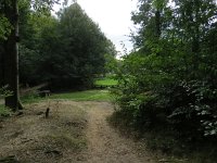 190-425, Z, 2018-9-8, NL-Peter Vlamings, 190530-425506, Berg en Dal