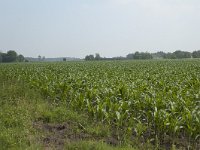 190-481, O, 5-7-2011, NL-Gijs Dijkgraaf, 52.320853 NB-5.907325 OL, Epe