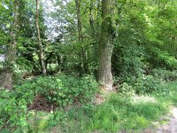 192-417, O, 2015-5-13, NL-Peter Vlamings, 192479-417434, Groesbeek