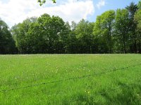 192-417, W, 2015-5-13, NL-Peter Vlamings, 192479-417434, Groesbeek