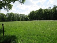 192-417, Z, 2015-5-13, NL-Peter Vlamings, 192479-417434, Groesbeek