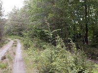 192-489, O, 14-5-2011, NL-Gijs Dijkgraaf, 52.389847 NB-5.939177 OL, Epe