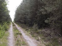 192-489, W, 14-5-2011, NL-Gijs Dijkgraaf, 52.389847 NB-5.939177 OL, Epe