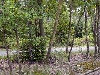 192-489, Z, 14-5-2011, NL-Gijs Dijkgraaf, 52.389847 NB-5.939177 OL, Epe