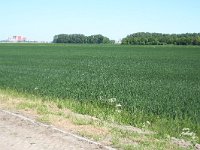 259-591,O,2012-05-24,NL-Harm Wessels,53.300209 NB-6.954964 OL,Delfzijl