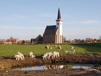 NL, Noord-Holland, Texel, Den Hoorn 12, Saxifraga-Foto Fitis-Sytske Dijksen