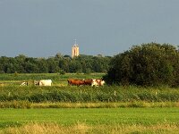 NL, Utrecht, Stichtse Vecht, Tienhovens Kanaal 2, Saxifraga-Foto Fitis-Sytske Dijksen