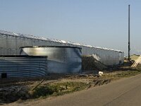 B, Antwerpen, Merksplas, Koekhoven  30, Saxifraga-Willem van Kruijsbergen