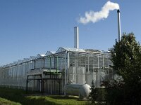 NL, Noord-Brabant, Dongen, Ruiterbaan 1, Saxifraga-Jan van der Straaten