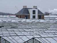 NL, Zuid-Holland, Westland, 's-Gravenzande 2, Saxifraga-Foto Fitis-Sytske Dijksen