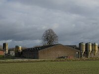 B, Limburg, Overpelt, De Riet 2, Saxifraga-Jan van der Straaten