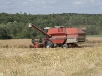 B, Namur, Viroinval, Nismes 12, Saxifraga-Willem van Kruijsbergen