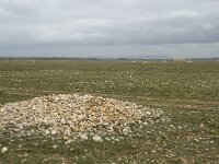 F, Bouches-du-Rhone, Saint Martin-de-Crau, Peau de Meau 23, Saxifraga-Willem van Kruijsbergen