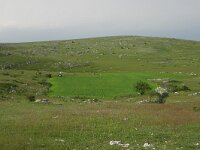F, Lozere, Causse Mejean 5, Saxifraga-Dirk Hilbers