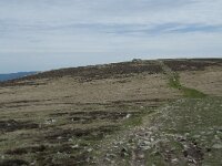 F, Lozere, Le Pont-de-Montvert, Sommet de Finiels 44, Saxifraga-Willem van Kruijsbergen