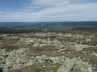 F, Lozere, Le Pont-de-Montvert, Sommet de Finiels 70, Saxifraga-Willem van Kruijsbergen