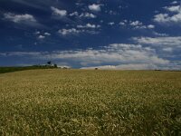 F, Lozere, Pont-de-Montvert, Mont Lozere 26, Saxifraga-Dirk Hilbers