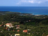 GR, Corfu, Loutses, Paleo Perithia 19, Saxifraga-Hans Dekker