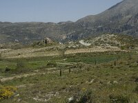 GR, Crete, Rethimnon, Vatos 7, Saxifraga-Willem van Kruijsbergen