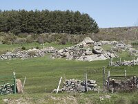 E, Avila, Navarradonda de Gredos 22, Saxifraga-Willem van Kruijsbergen