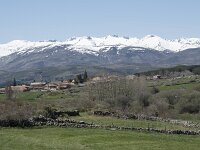 E, Avila, Navarradonda de Gredos 28, Saxifraga-Willem van Kruijsbergen