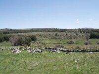 E, Avila, Navarradonda de Gredos 55, Saxifraga-Willem van Kruijsbergen