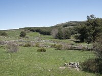E, Avila, Navarradonda de Gredos 56, Saxifraga-Willem van Kruijsbergen