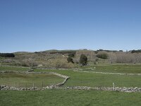 E, Avila, Navarradonda de Gredos 79, Saxifraga-Willem van Kruijsbergen