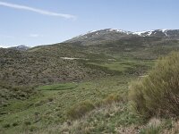 E, Avila, San Juan de Gredos, Rio Barbellido 8, Saxifraga-Willem van Kruijsbergen