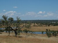 E, Caceres, Serradilla, Montfrague 6, Saxifraga-Jan van der Straaten