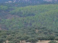 E, Caceres, Torrejon el Rubio 5, Saxifraga-Tom Heijnen