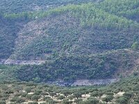 E, Caceres, Torrejon el Rubio 6, Saxifraga-Tom Heijnen