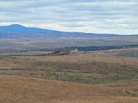 E, Caceres, Trujillo, CC-128 road to Caceres 15, Saxifraga-Tom Heijnen