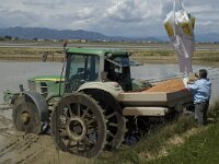 E, Tarragona, Deltebre, Alfacada 4, Saxifraga-Marijke Verhagen