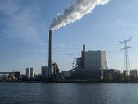 NL, Noord-Brabant, Drimmelen, Amercentrale 1, Saxifraga-Jan van der Straaten