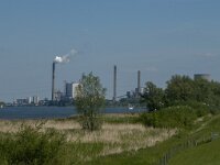 NL, Noord-Brabant, Geertruidenberg, Amercentrale 5, Saxifraga-Jan van der Straaten