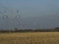 NL, Noord-Brabant, Land van Cuijck, Beerse Overlaat 4, Saxifraga-Jan van der Straaten