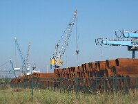 NL, Noord Brabant, Klundert, Industrieterrein Moerdijk 5, Saxifraga-Jan van der Straaten