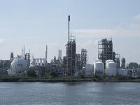 NL, Zuid-Holland, Dordrecht, Industriegebied Staart 4, Saxifraga-Willem van Kruijsbergen