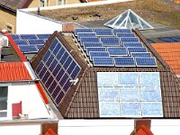 NL, Noord-Holland, Texel, Den Burg 4, Saxifraga-Foto Fitis-Sytske Dijksen