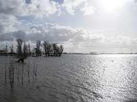 NL, Noord-Brabant, Altena, Braspenning 21, Saxifraga-Willem van Kruijsbergen