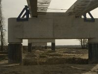 NL, Noord-Brabant, Altena, Polder De Kroon 2, Saxifraga-Jan van der Straaten, Saxifraga-Willem van Kruijsbergen