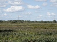 NL, Noord-Brabant, Drimmelen, Middelste Gat van het Zand, Polder De Plomp 1, Saxifraga-Willem van Kruijsbergen
