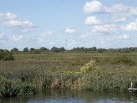 NL, Noord-Brabant, Drimmelen, Middelste Gat van het Zand, Polder De Plomp 3, Saxifraga-Willem van Kruijsbergen
