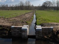 NL, Noord-Brabant, Valkenswaard, Pelterheggen 40, Saxifraga-Marijke Verhagen